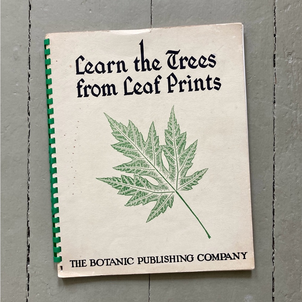 1961 Learn The Trees from Leaf Prints Botanical Press Leaves Nature Art Plant